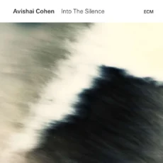 Avishai Cohen  -Into The Silence